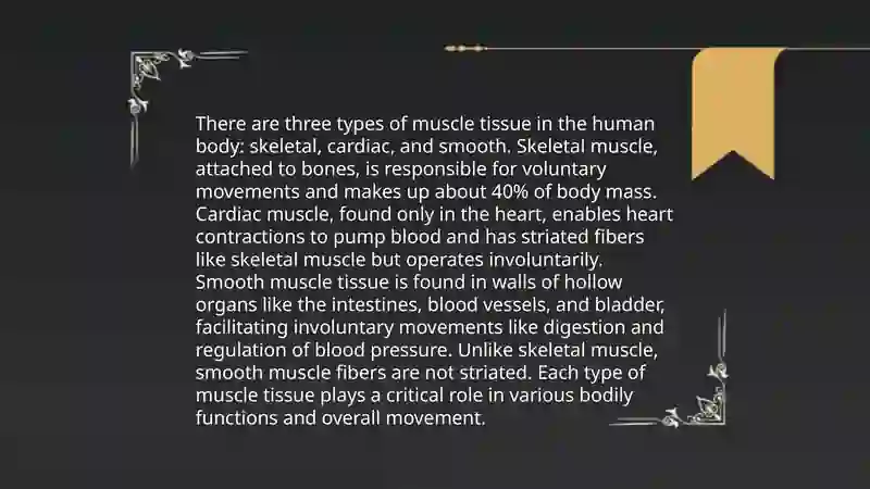 Muscular system 4