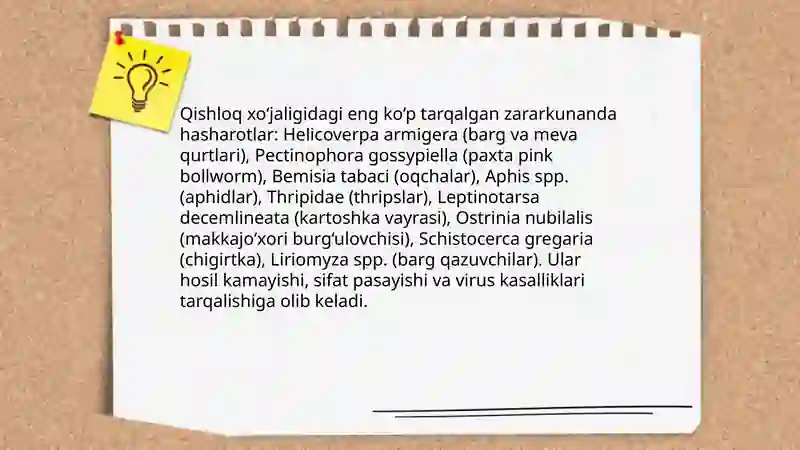Zararkunanda hasharotlar 4