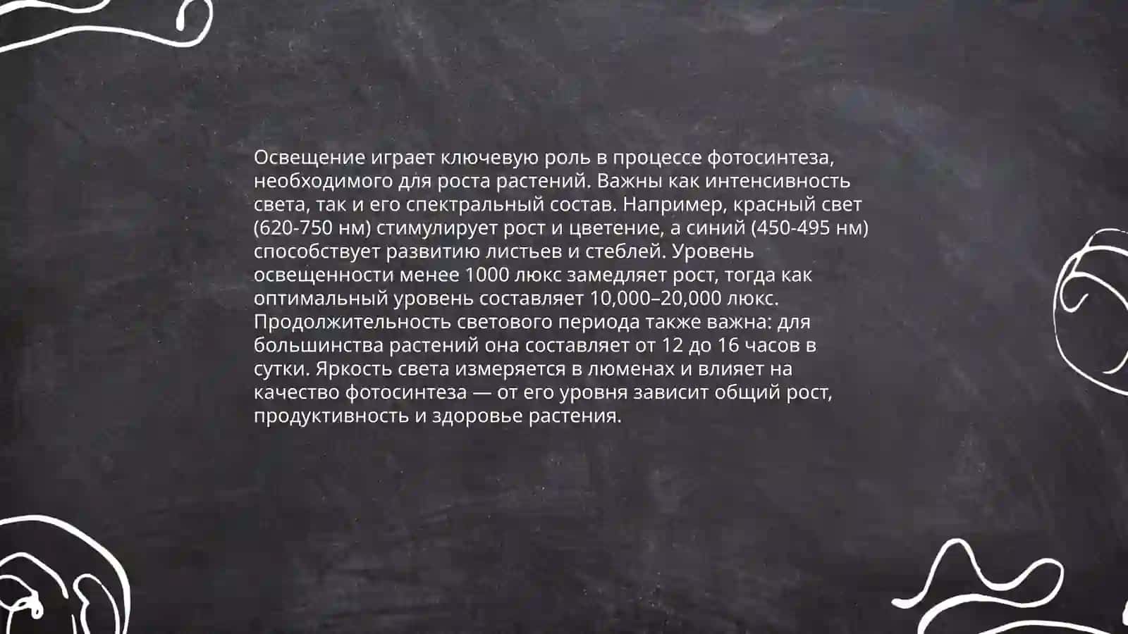 Морфология корневой системы растений 4