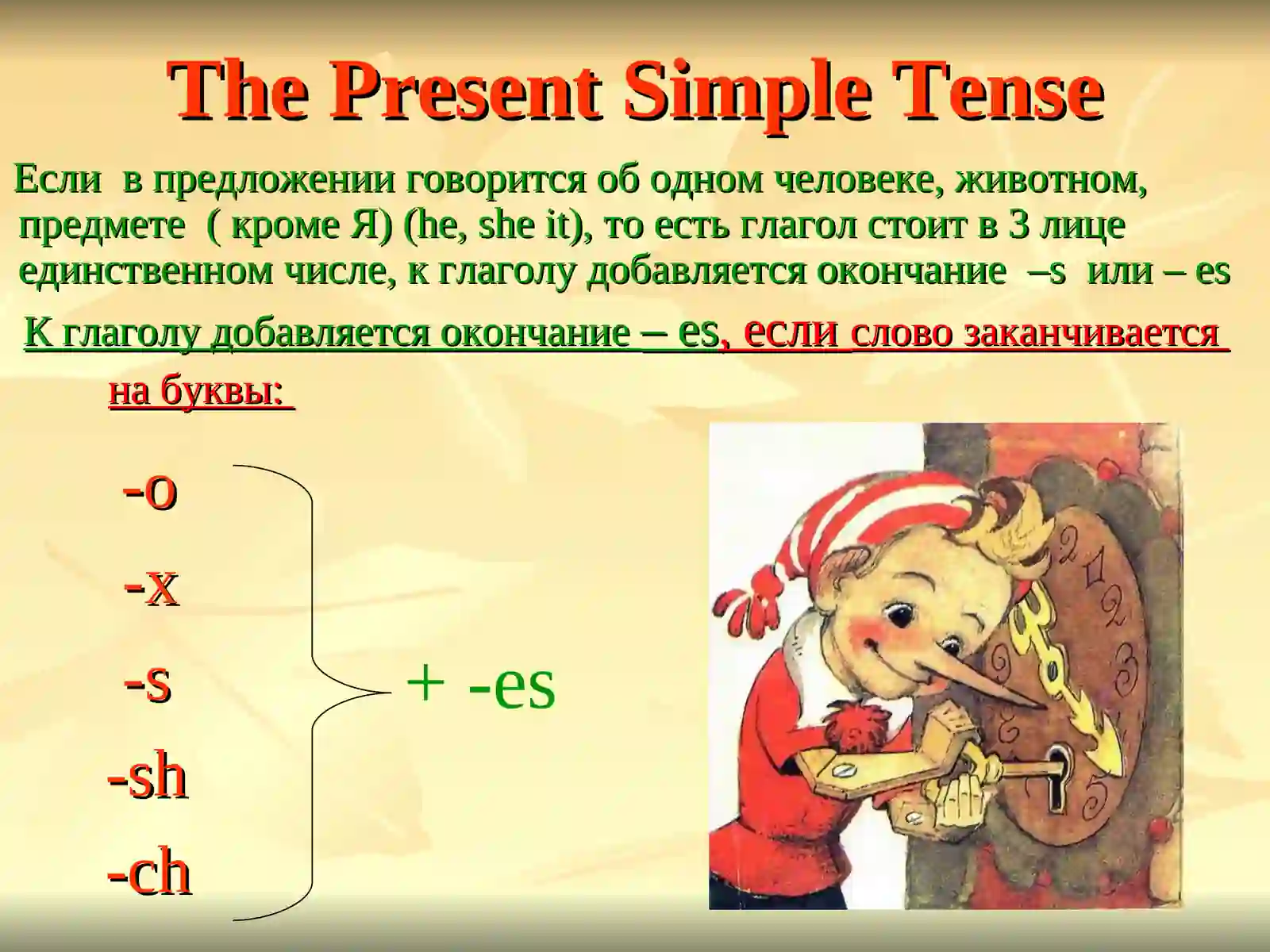 The Present Simple Tense 4