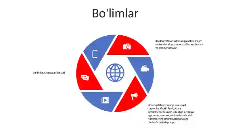 Xordalilar Tipi 4