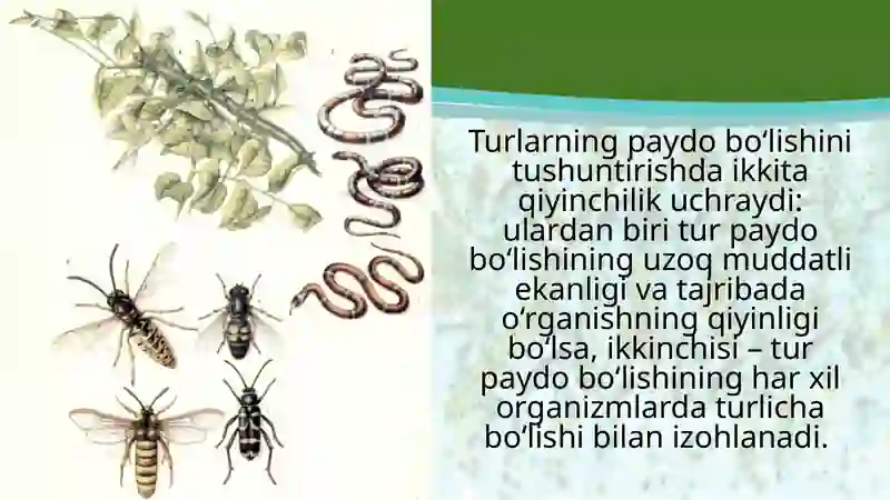 Turlarning paydo bo‘lishi 4