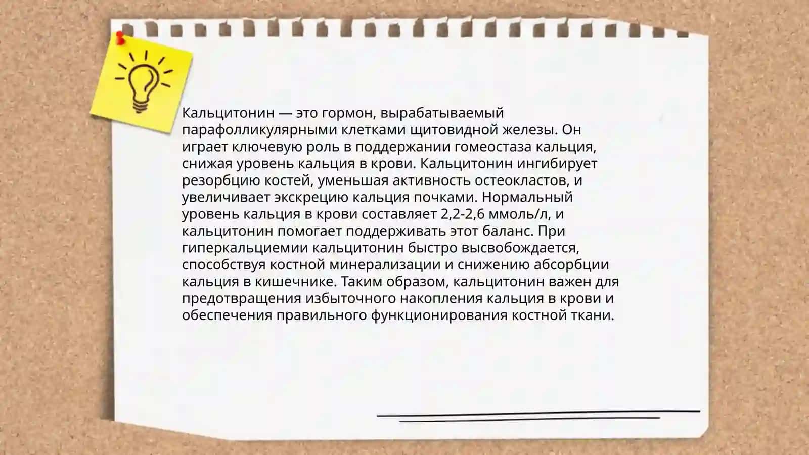 Гомеостаз ионов кальция в норме и в патологии 4