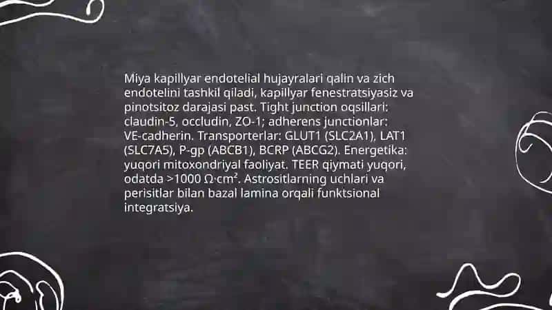 Gematoentsefalik to‘sik gistofiziologiyasi 4