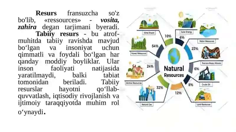 Mintаqаlаr tаbiiy-rеsurs sаlоhiyati vа ulаrning hududiy tаrаqqiyotdа tutgаn o’rni 4