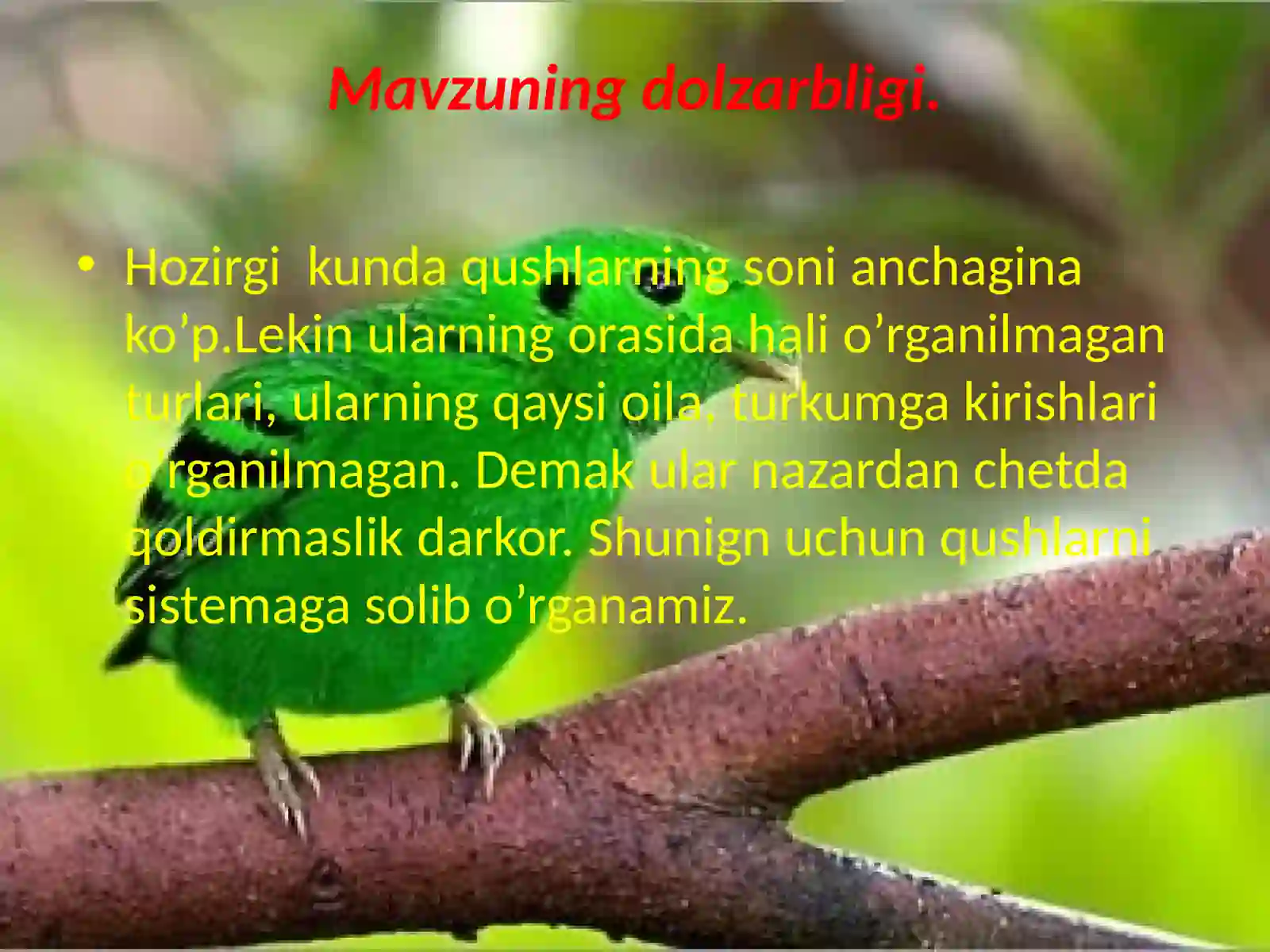Qushlar sinfining sistematikasi 4