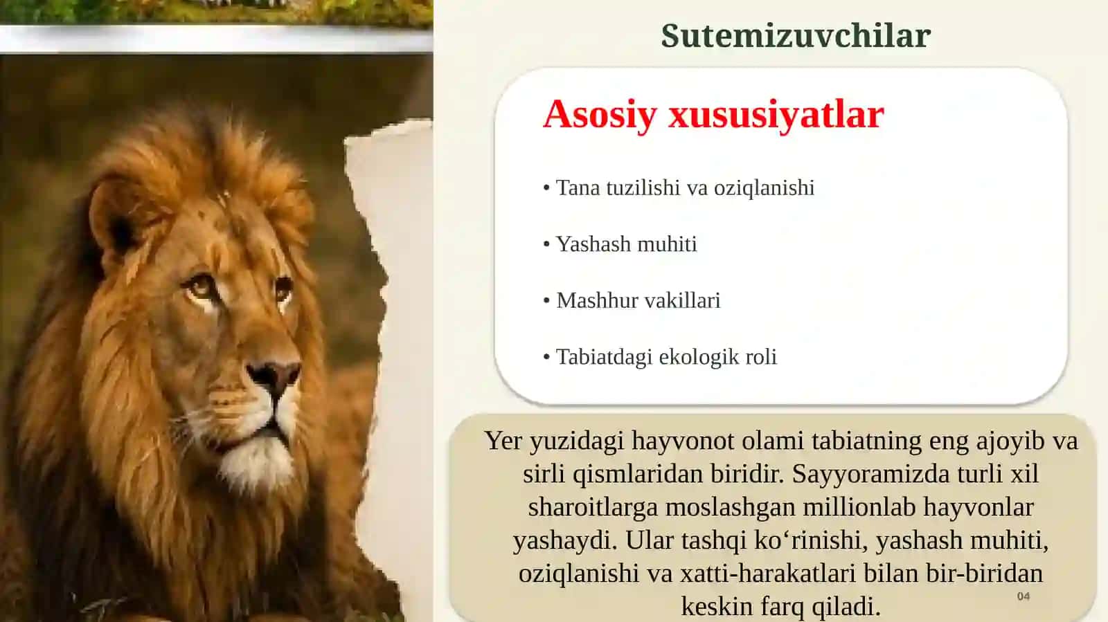 Hayvonotdunyosi 4