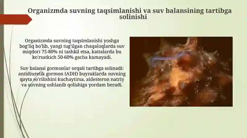 Oʻrganizmning suv-dispers sistemasi 4