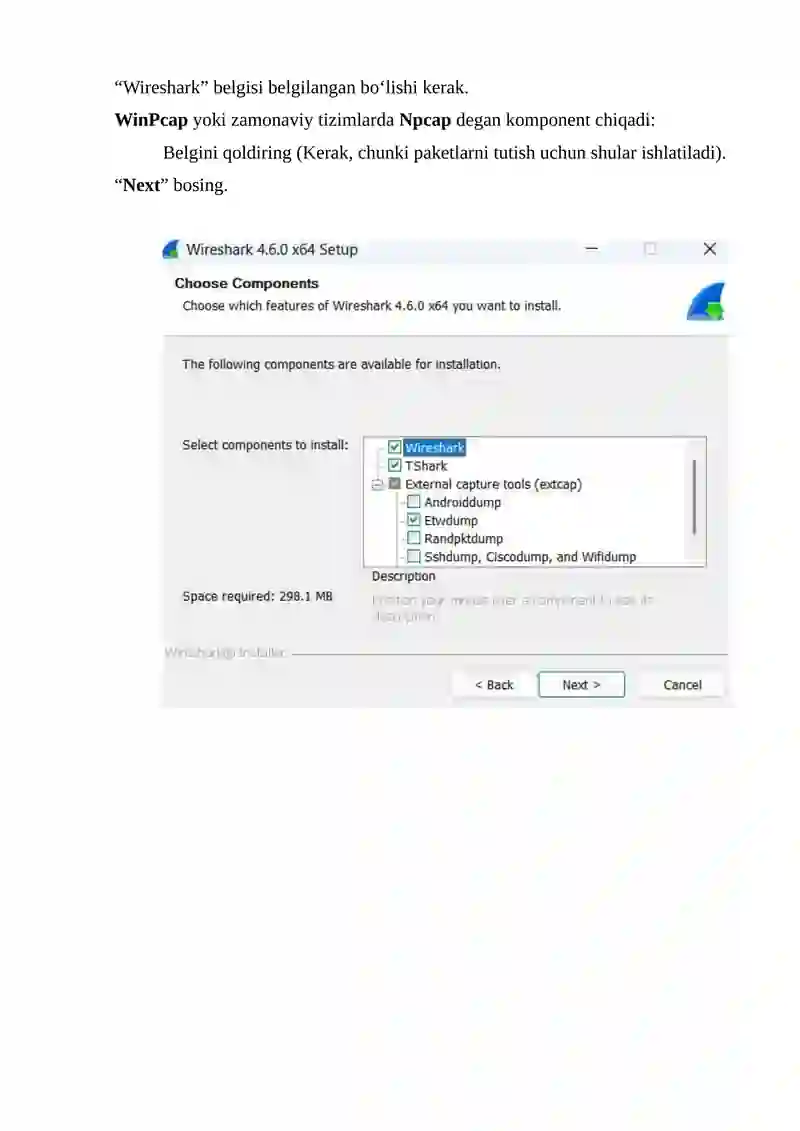 Wireshark dasturini o‘rnatish 4
