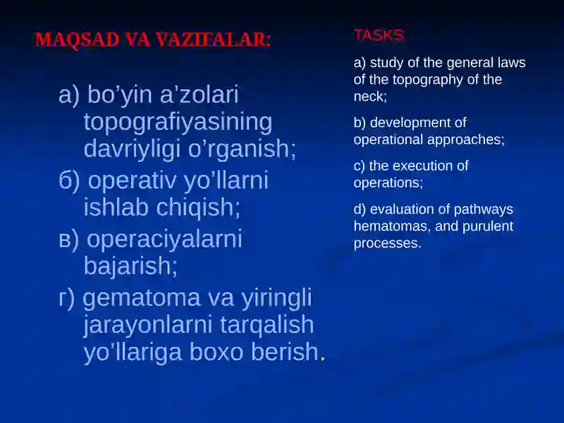 Бўйин соҳасининг клиник анатомияси 4