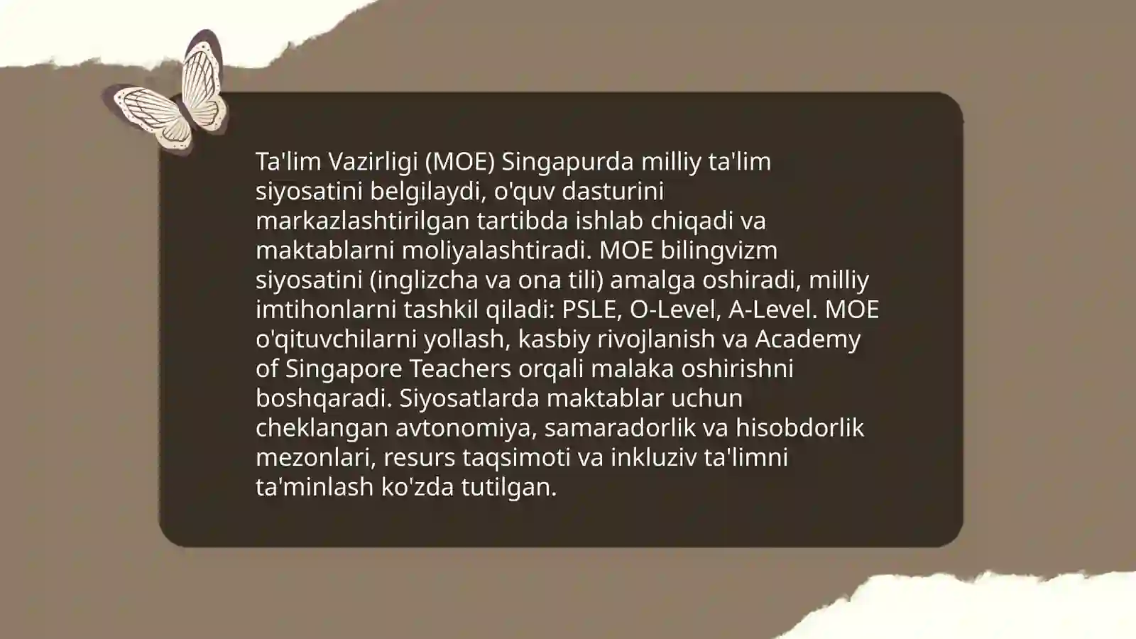 Singapur talim tizimi 4