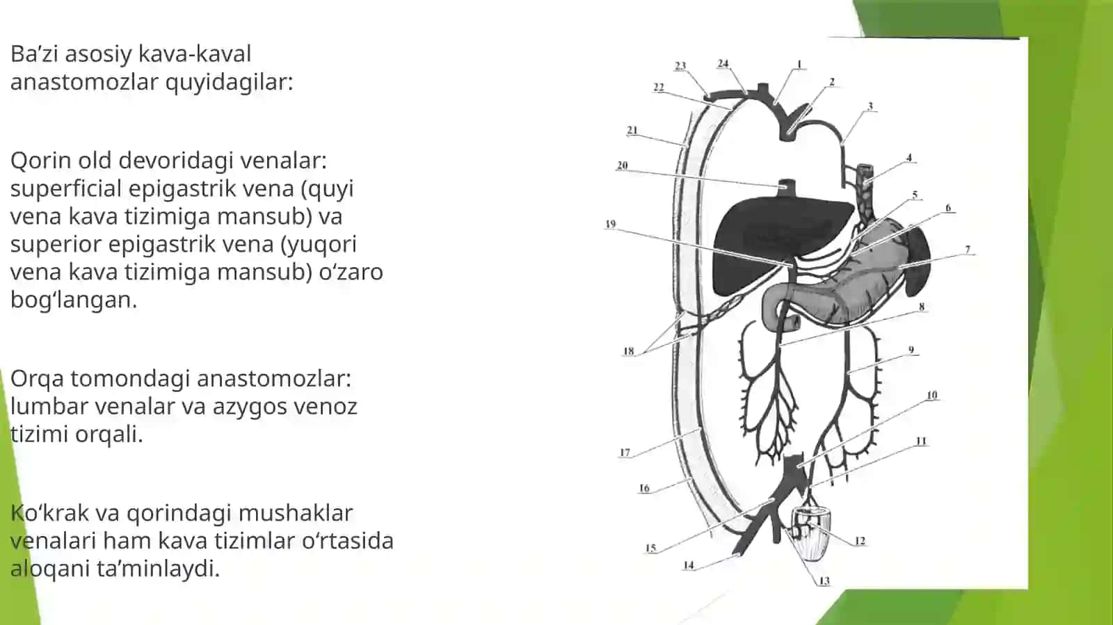 Kava-kavalporto-kavalanastamozlar 4
