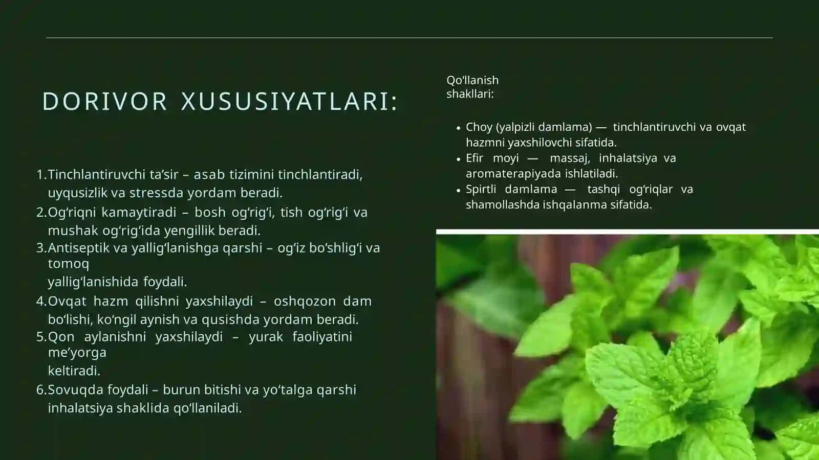 Dorivor o'simliklar 4