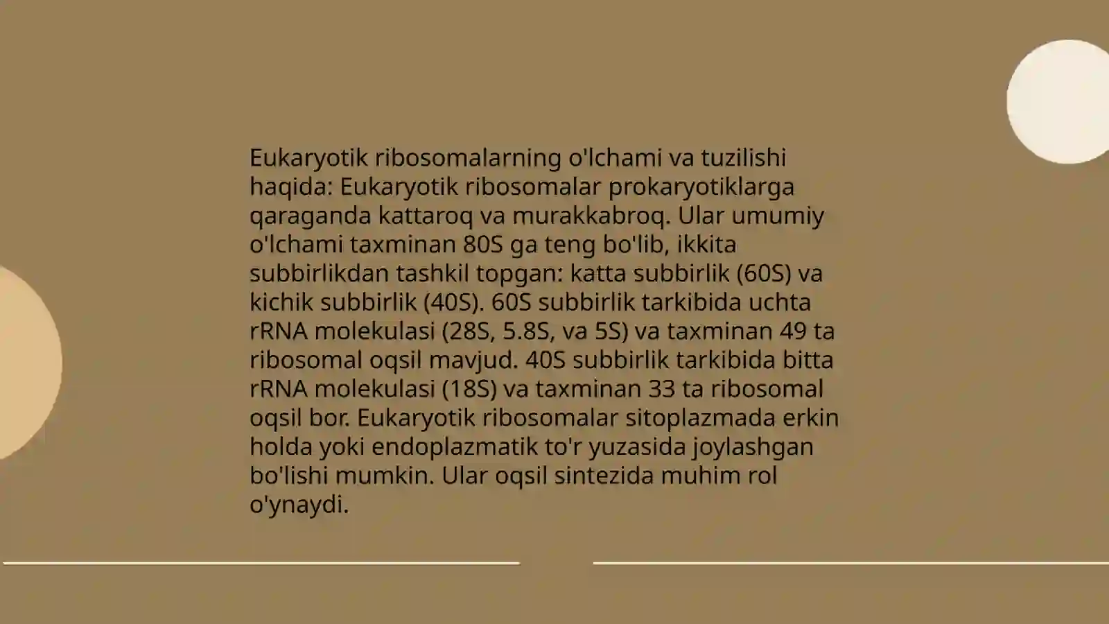 Ribosomalar ularning tuzilishi va funksional ahamiyati 4