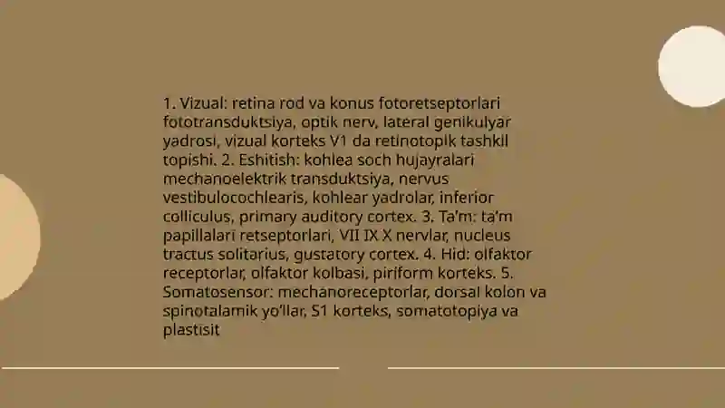 Diqqat va sezgi haqida tushuncha uning nerv fiziologik asoslari 4