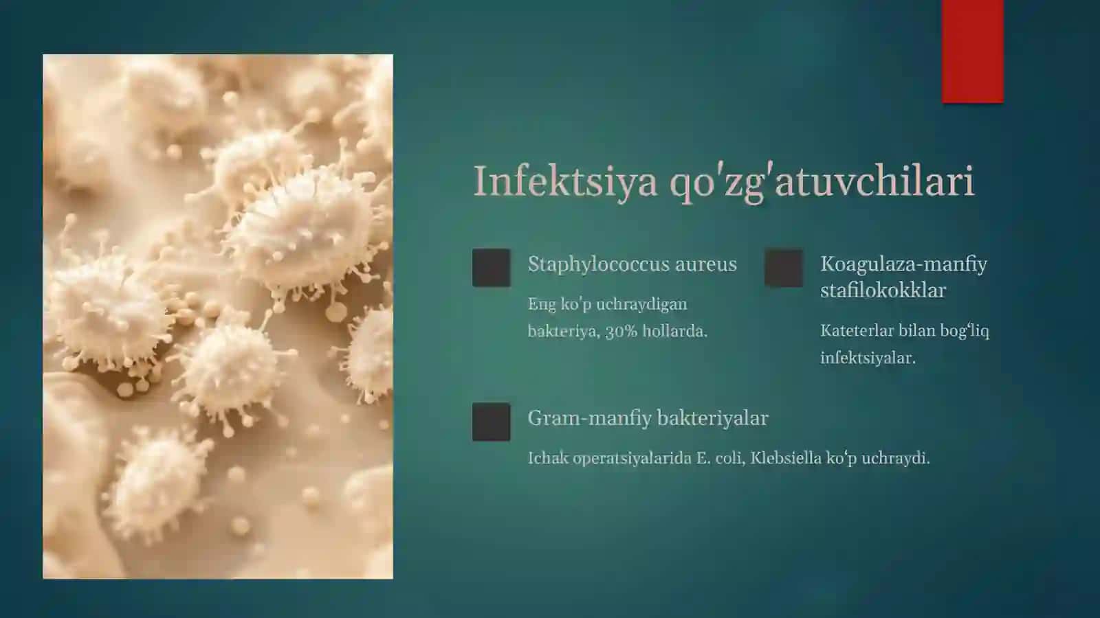 Jarrohlik infektsiyasi Umumiy ma'lumot 4