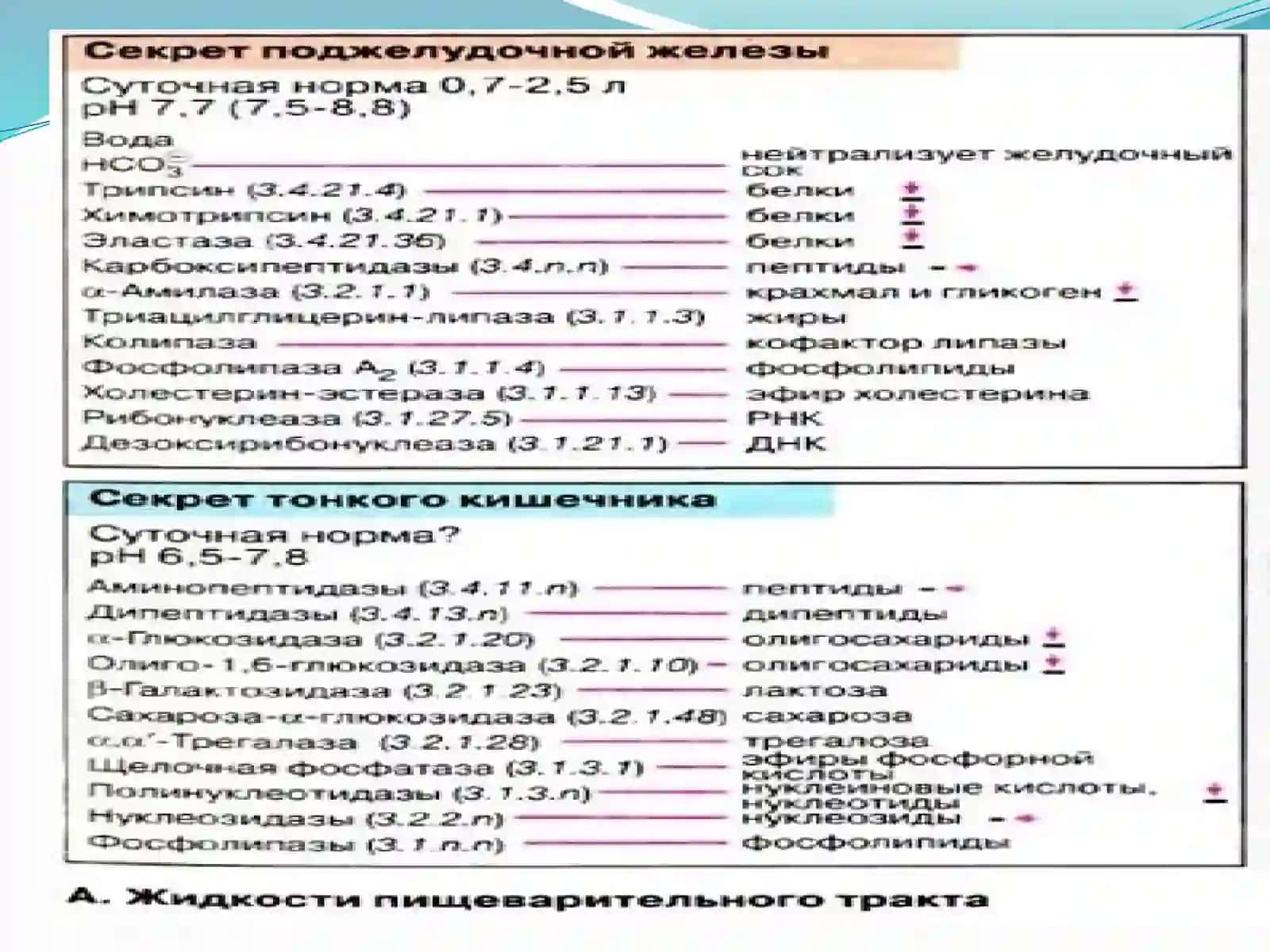 Oshqozonichaktizimibiokimyosi 4