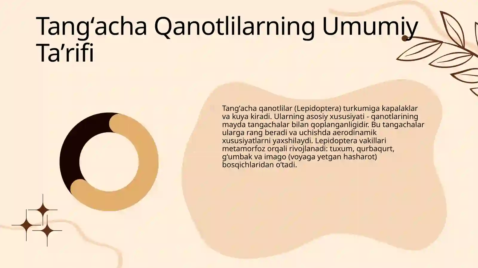 Tangʻacha Qanotlilar 4