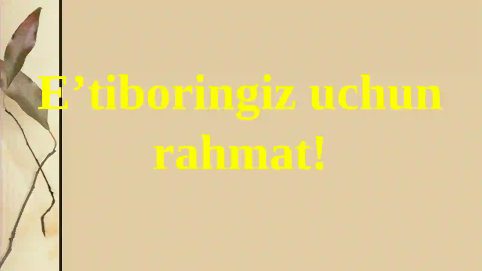 Preview 4