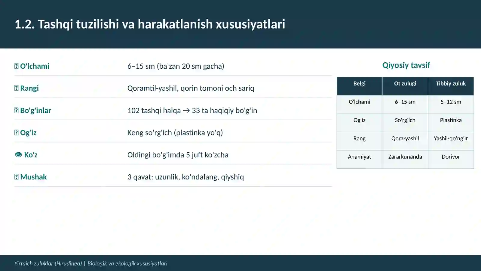 Yirtqich zuluklar (Hirudinea) 4