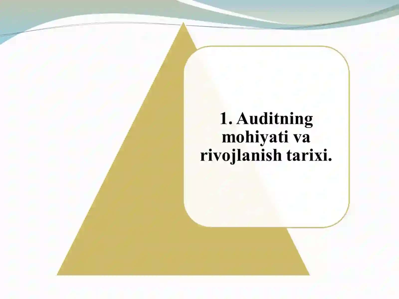 AUDITGA UMUMIY TAVSIF 4