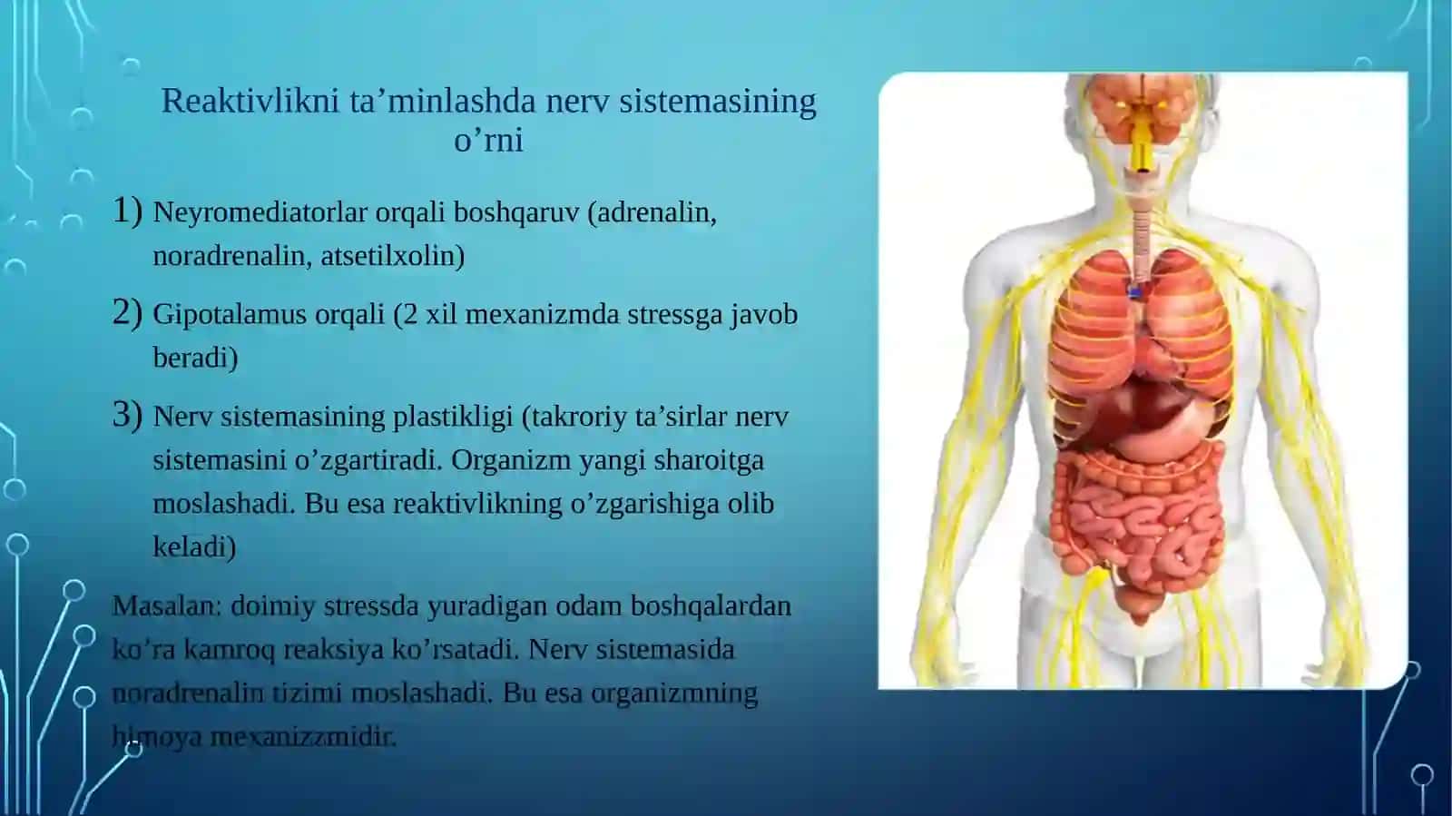 REAKTIVLIK VA REZISTENTLIKNING SHAKLLANISHIDA NERV VA ENDOKRIN SISTEMASINING O’RNI 4