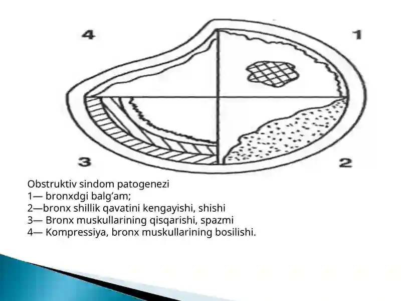 Viruslar va bakteriyalar 4