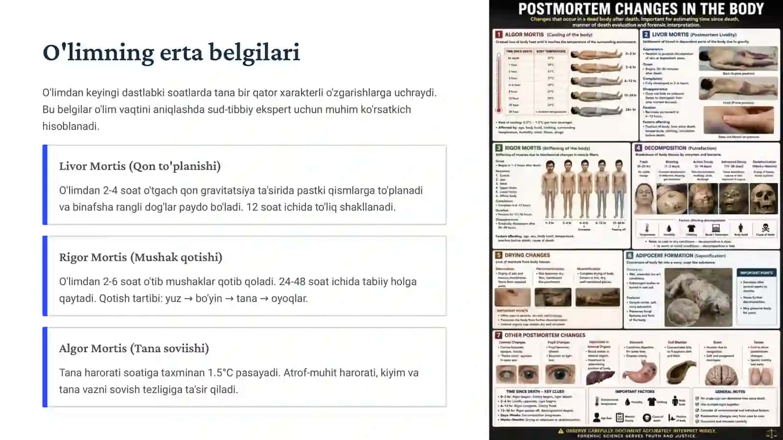 Sud-tibbiy Tanatologiya 4