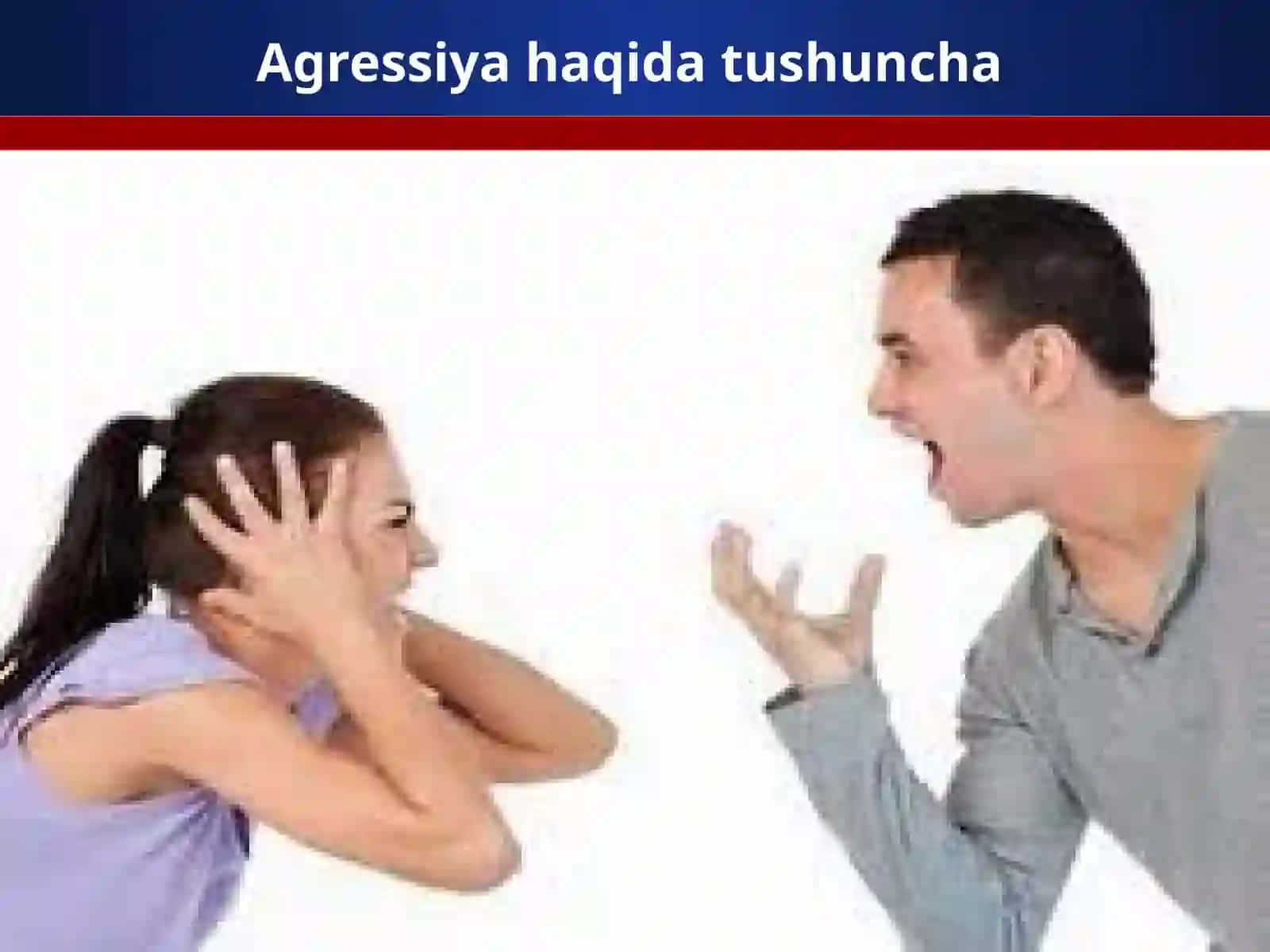 Shaxslararo munosobatlarda shaxs  agressivligi 4