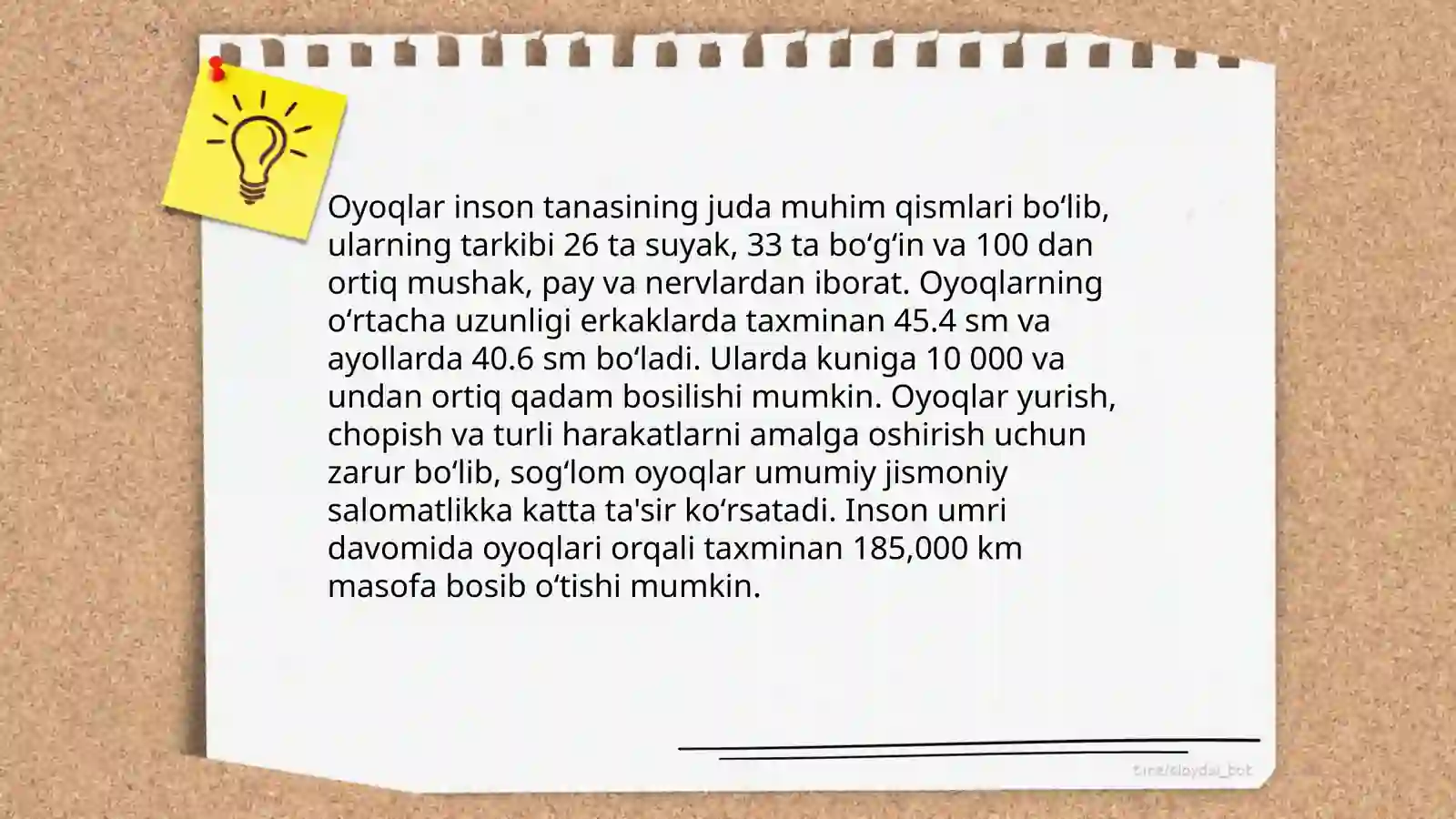Yurak 4