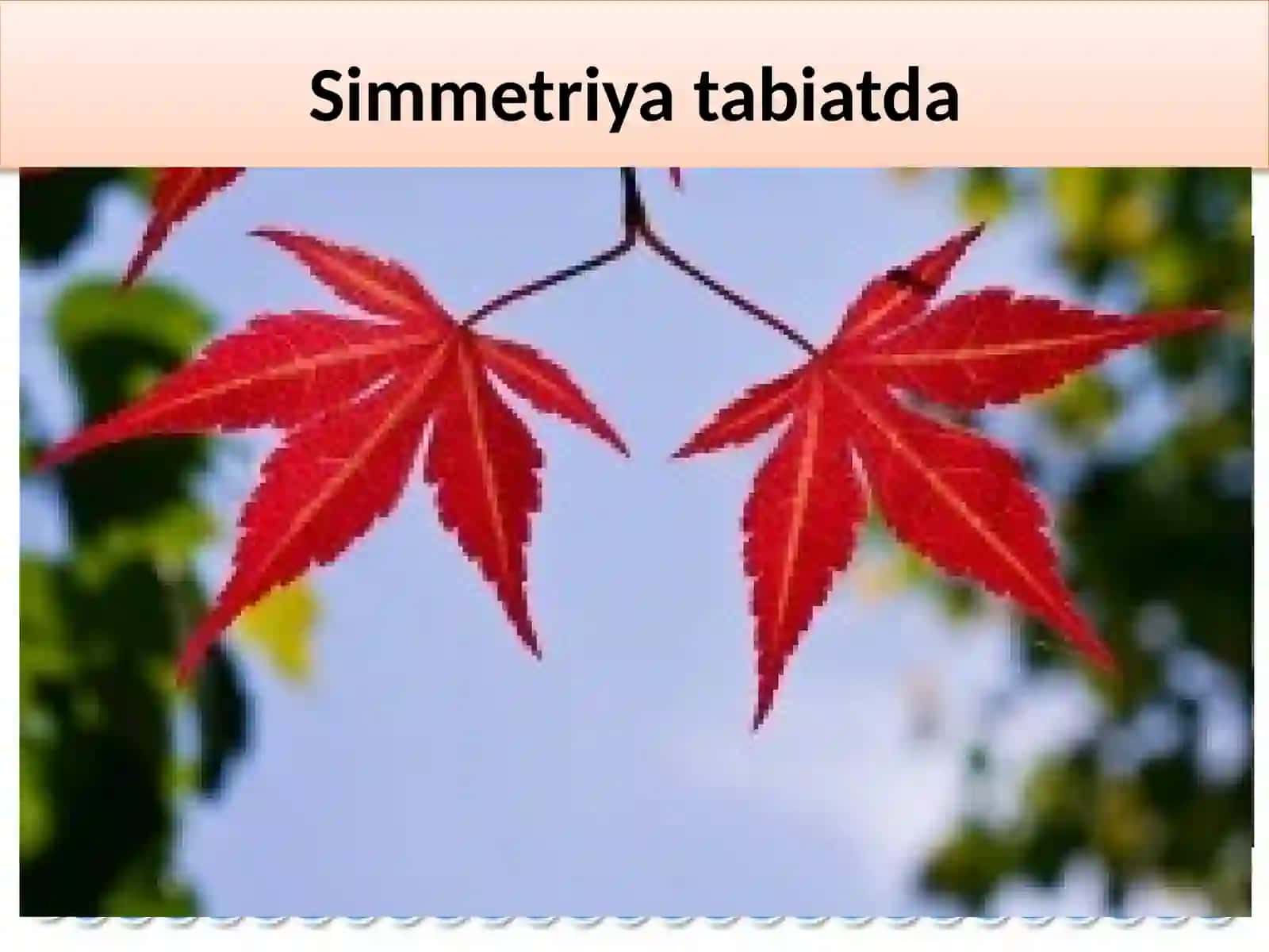 "1-sinf “simmetrik figuralar” mavzusi o’tish metodikasi va uning amosidagi didaktik va tarqatma materiallar tayyorlash usullari" 4