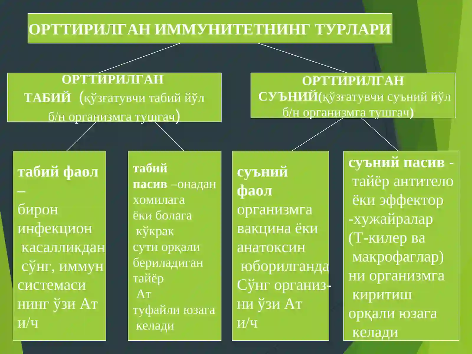 Иммунитет ва уларнинг турлари 4