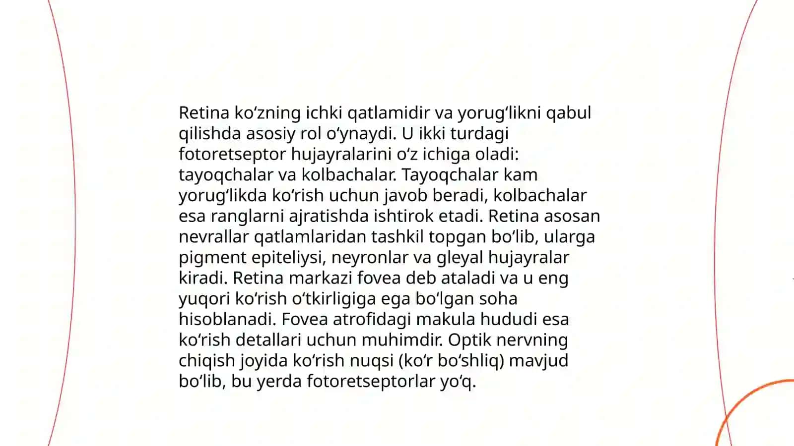 Ko'rish a'zosining anatomiyasi va fiziologiyasi 4
