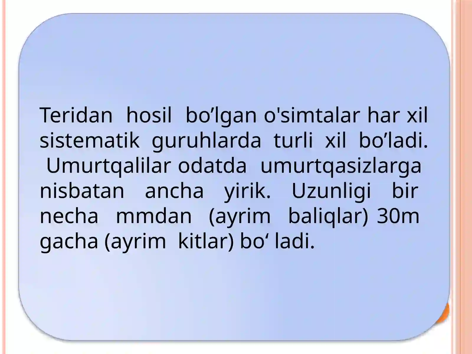 Umurtqalilarning kenja tipi 4