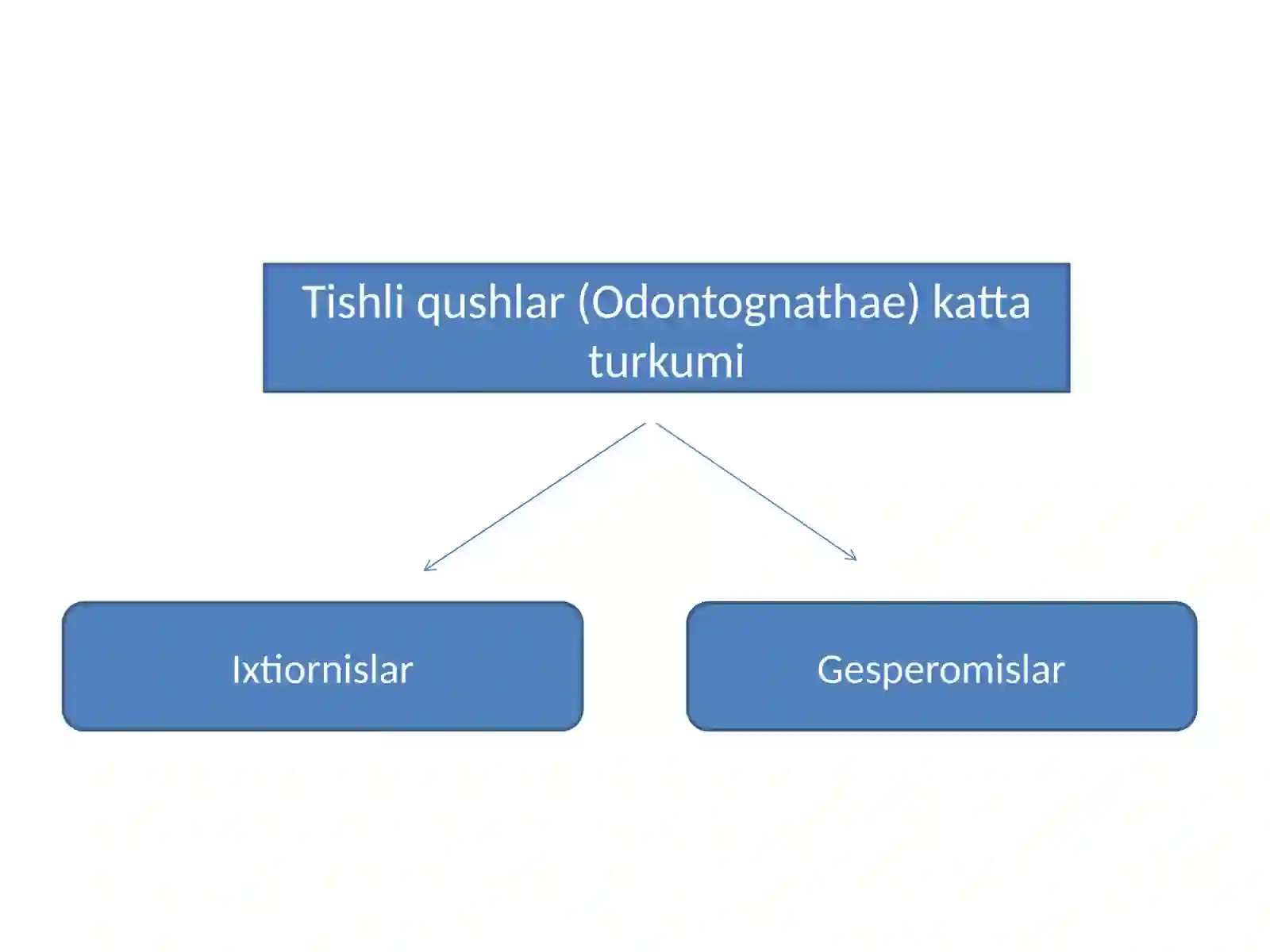 QUSHLAR SINFI (AVES) 4