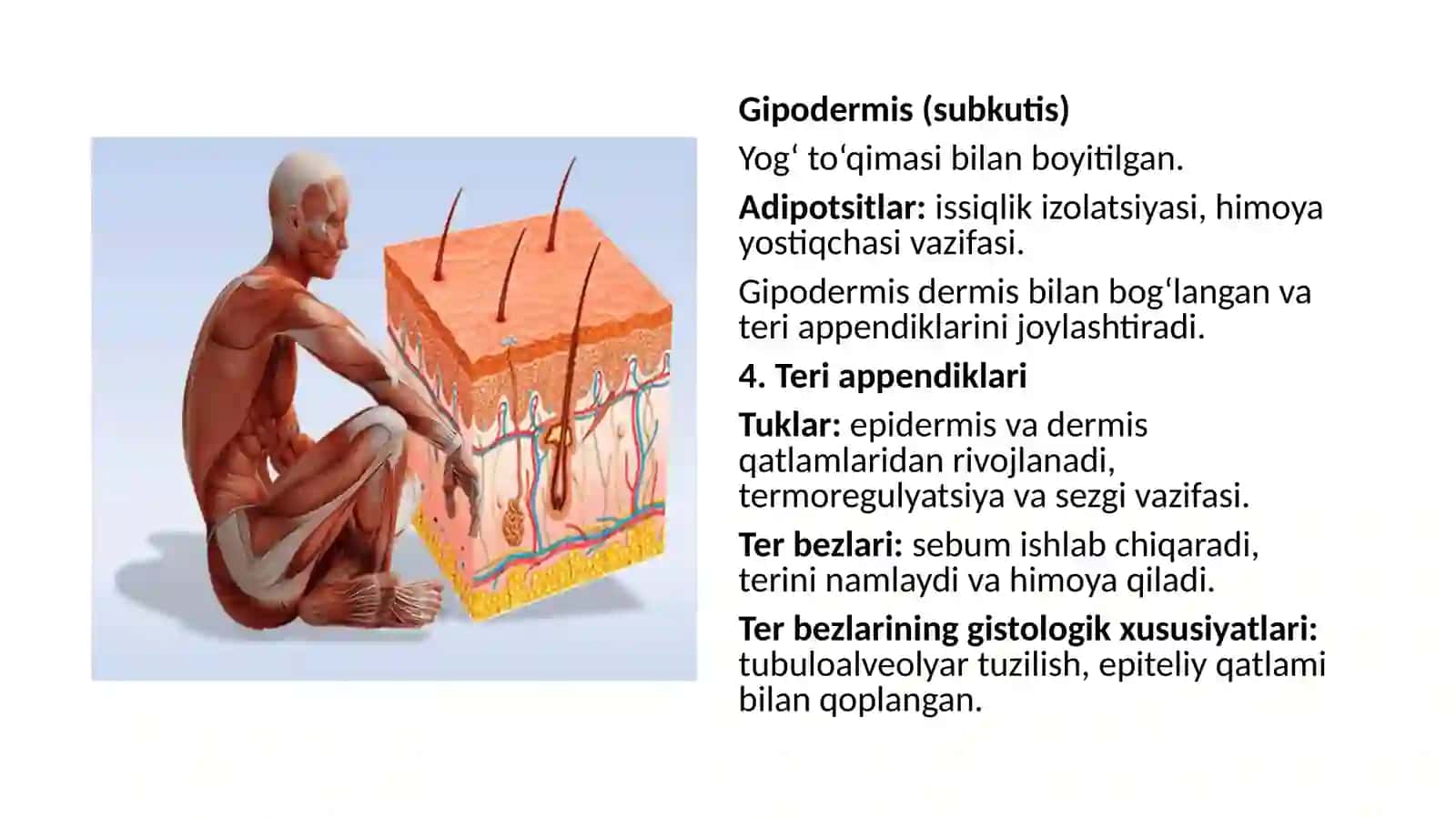 Teriningturlikasalliklarivagelmentozalar 4