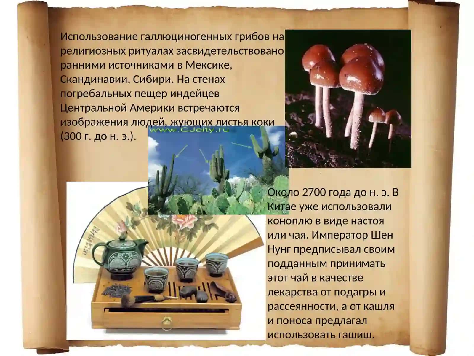 Наркомания 4
