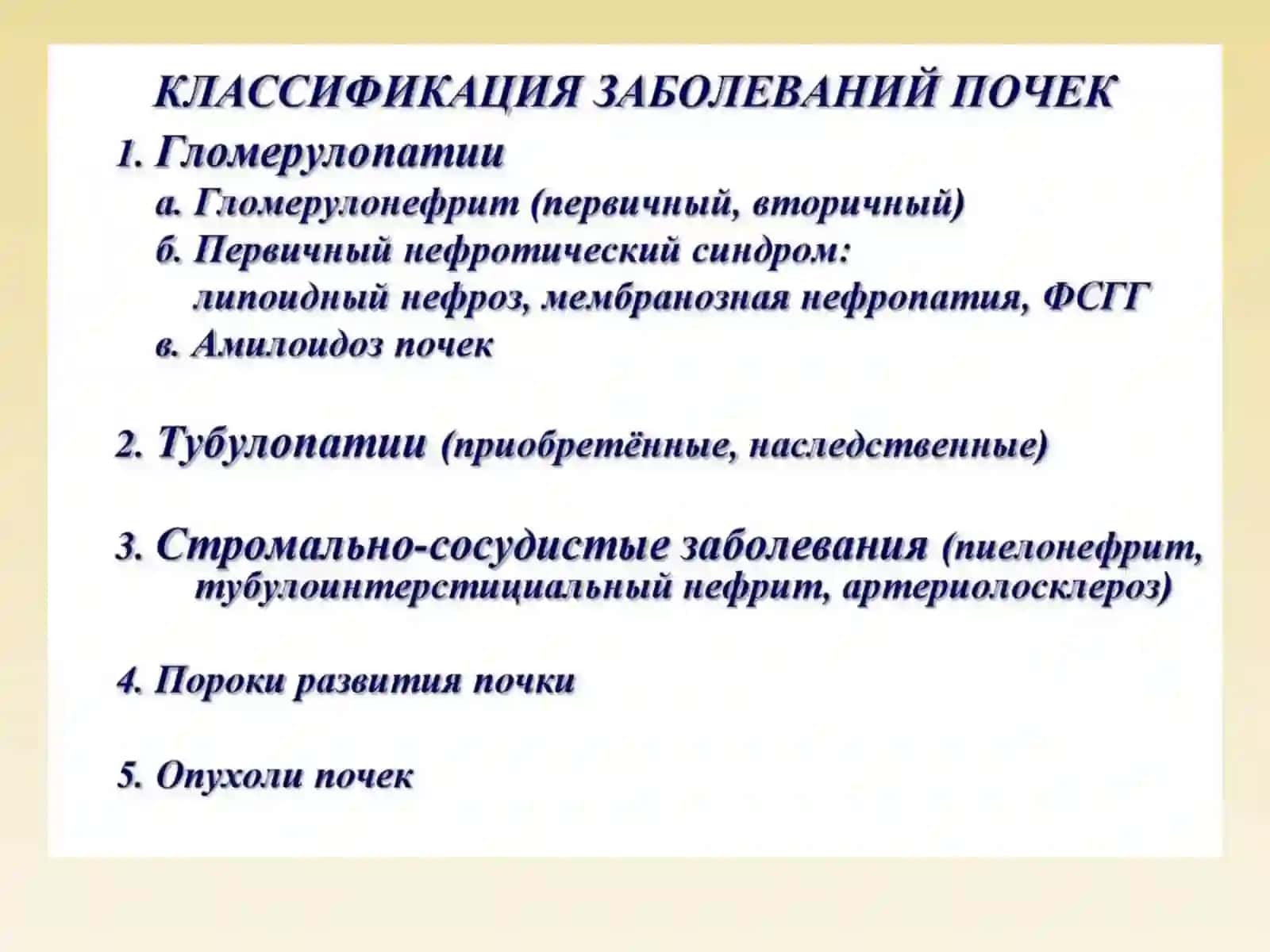 Патология почек 4