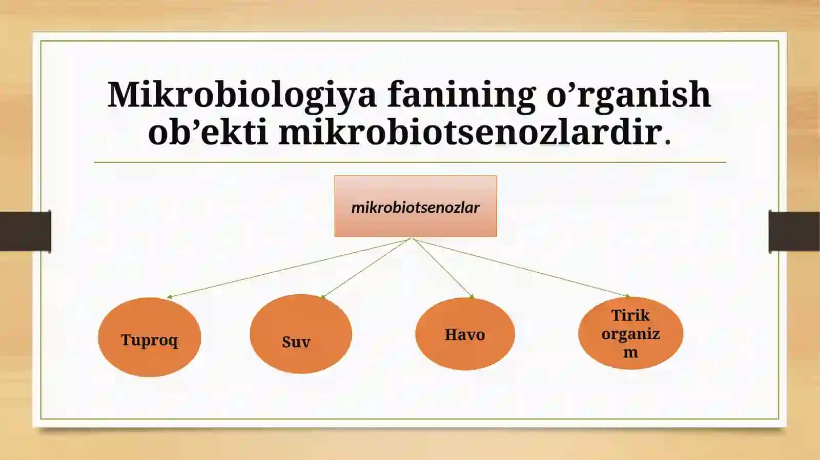 Mutalipova Husnidanining mikrobiologiya fanida tayyorlagan prezentatsiyasi 4
