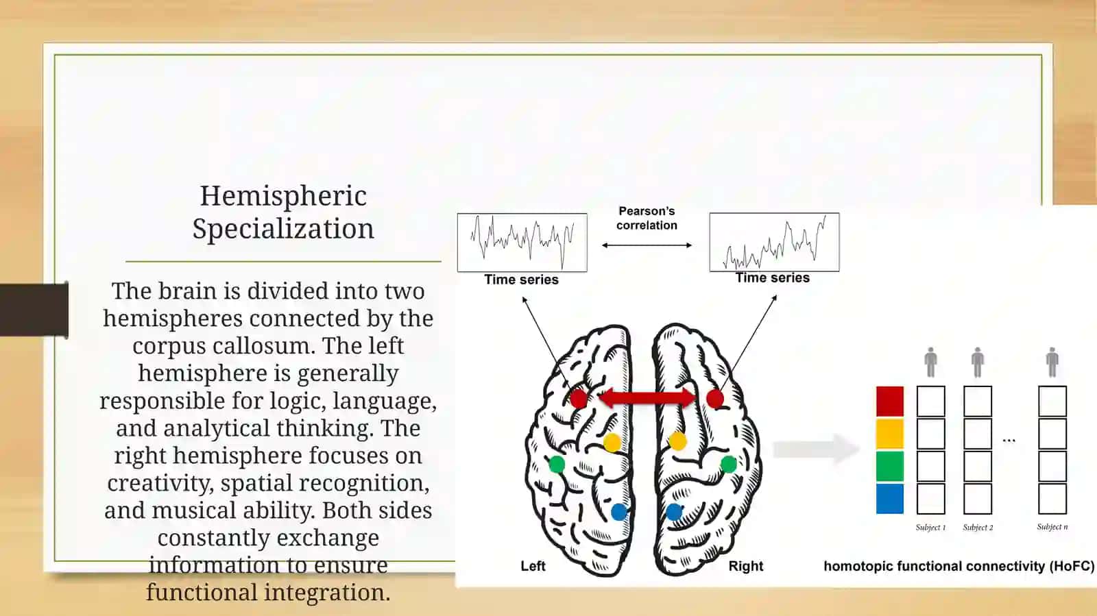 Human Brain: An Overview 4