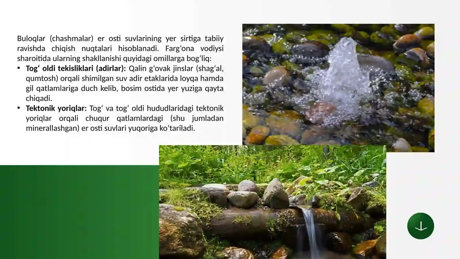 FARG‘ONA VILOYATIDAGI TABIIY BULOQLARNING SHAKLLANISH GEOGRAFIYASI VA TURLARI 4