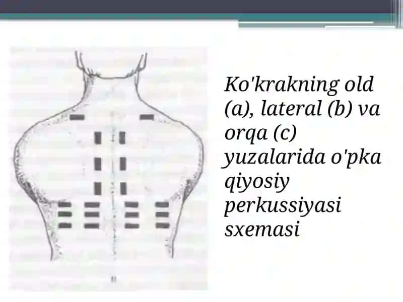 O’pka perkussiyasi 4