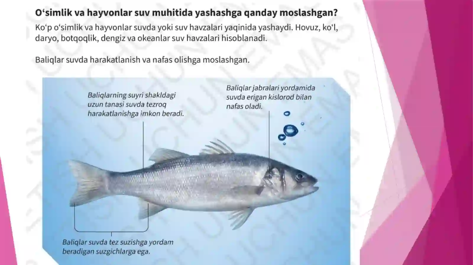 Moslanishlar 4