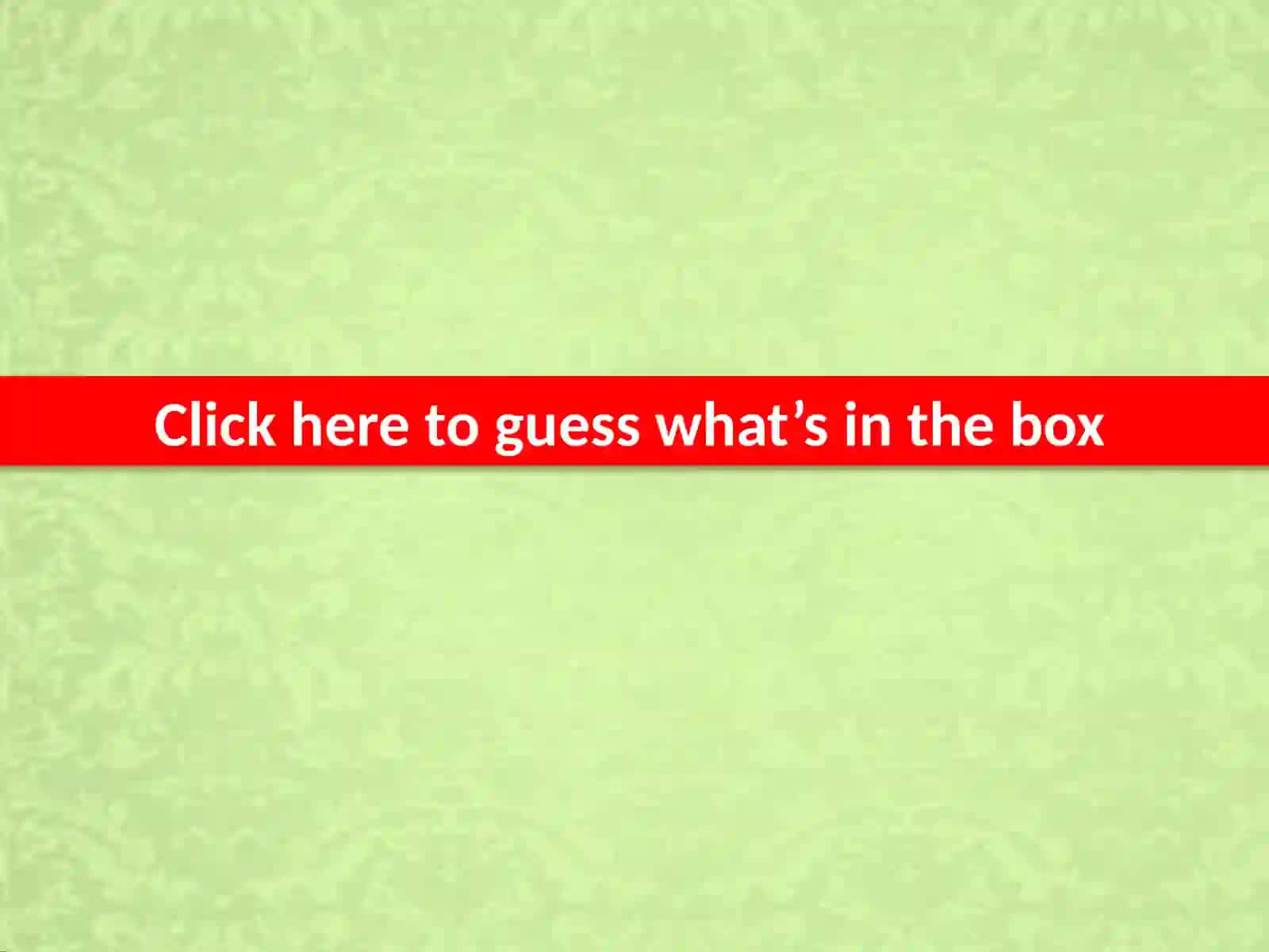 GUESSING GAME ON TOYS 4