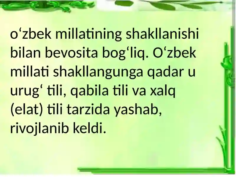 Milliy va adabiy til 4