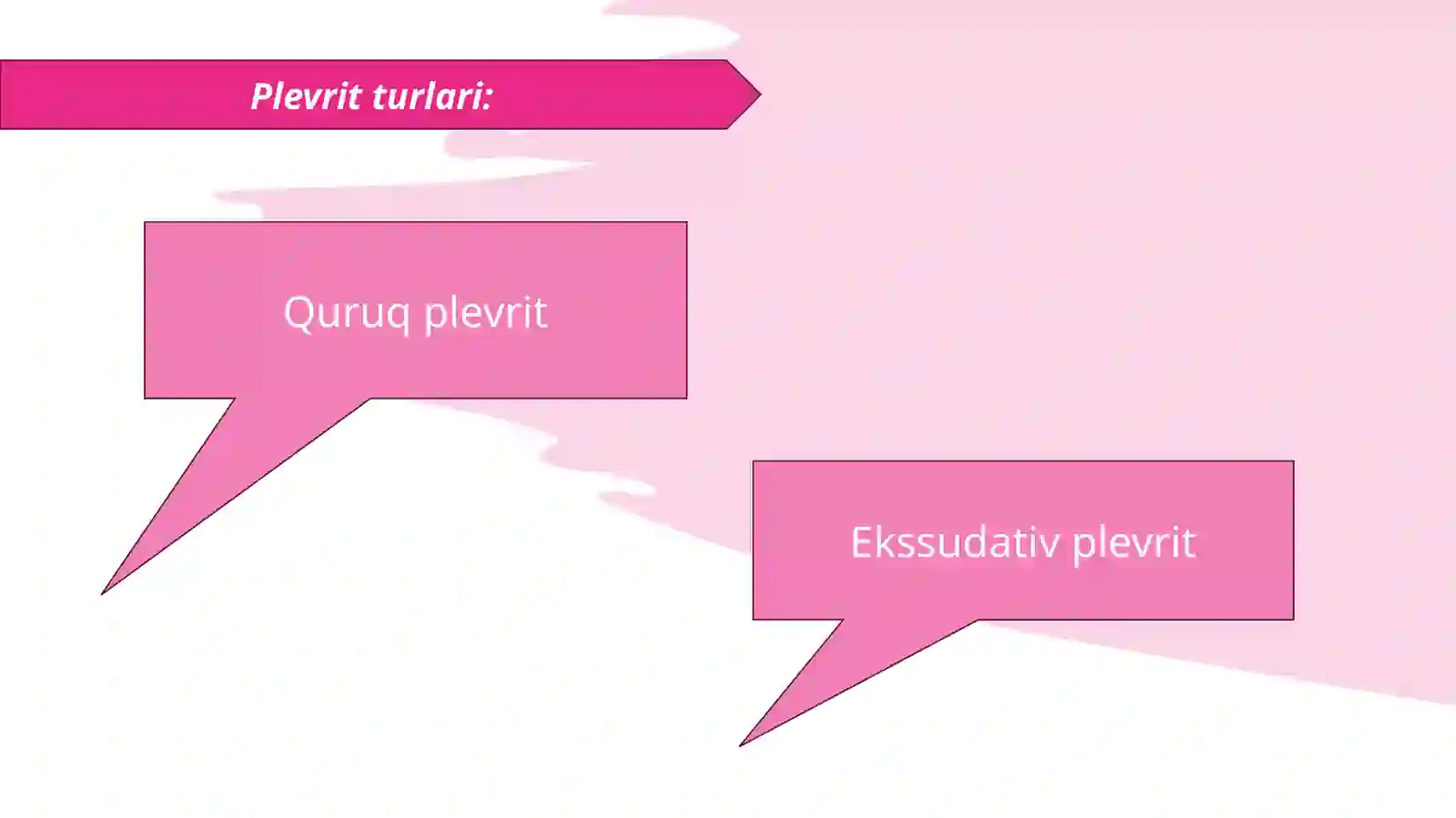 Plevrit 4