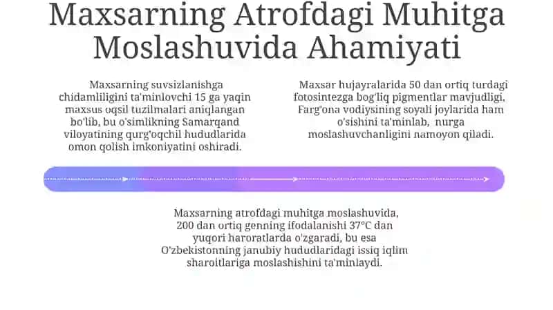 Maxsar RNS Sintezi va Oqsil Hosil Bo'lishi 4