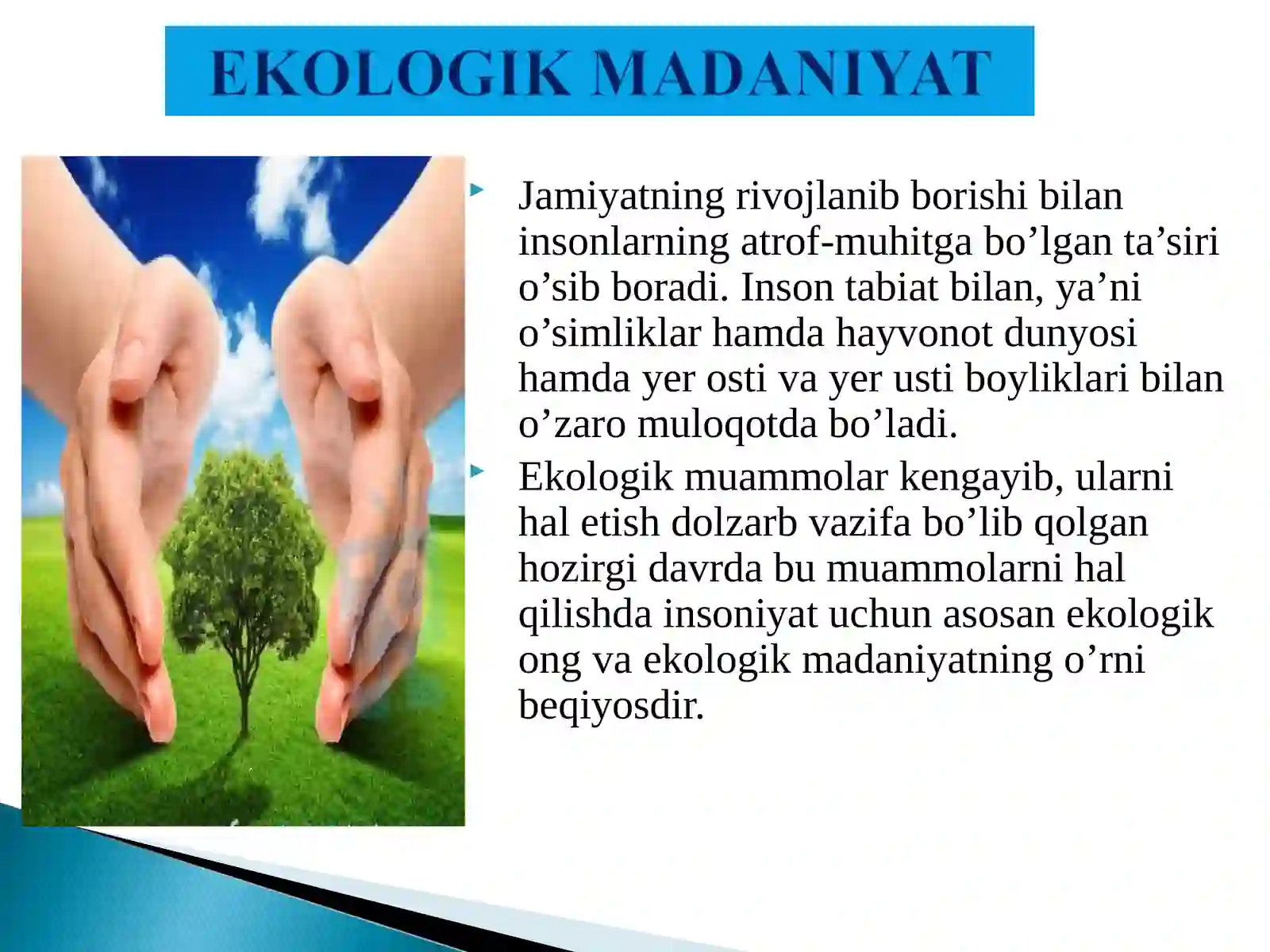 Ekologik madaniyat va ekologik ong 4