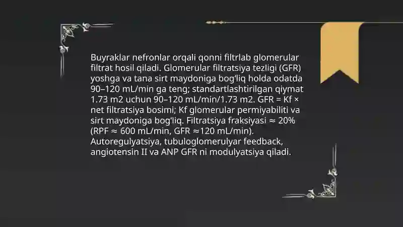 Buyrak 4