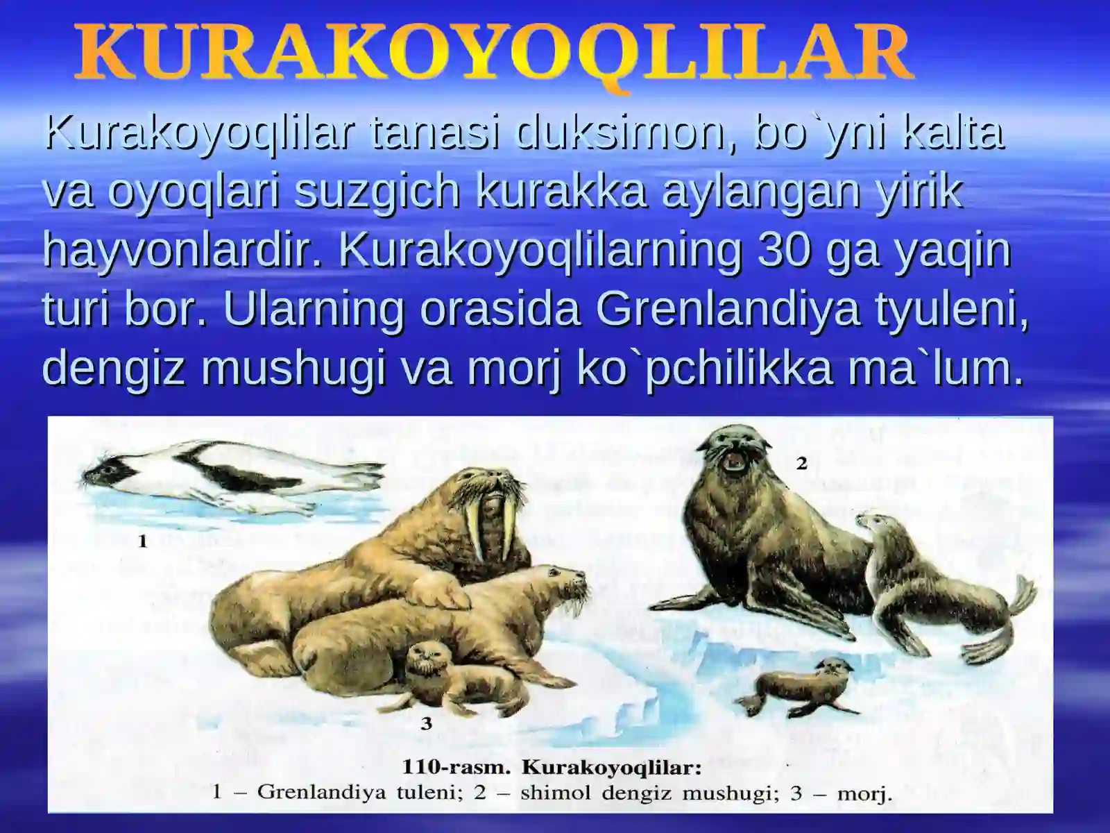 DENGIZ SUT EMIZUVCHILARI 4